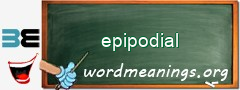 WordMeaning blackboard for epipodial
